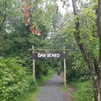 Dan Beard ico