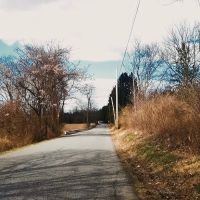 Mountain View Mobile Estates ico