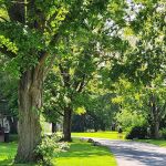 Green Acres