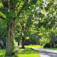 Green Acres ico