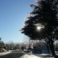 Mountain Village Community ico