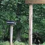 Leatherstocking Campsite