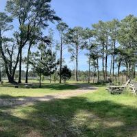 Pine Grove Campground ico