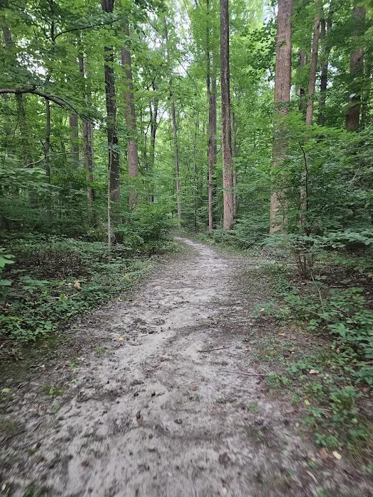 Watkins Regional Park Campground Picture 4