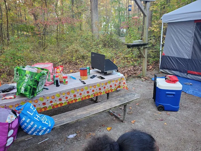 Hollofield Campground Picture 9