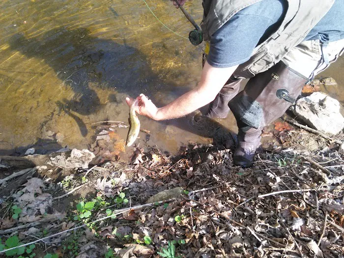 Brandywine Creek Campground Picture 10