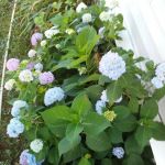 Fairwinds Communities LLC