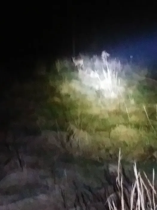 Green Valley Picture 2