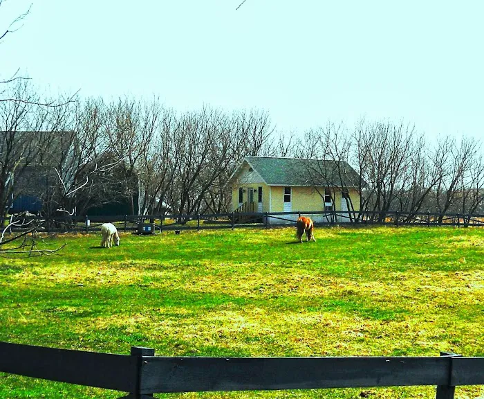 Grandma's Cottage Picture 3