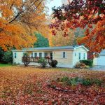 Colchester Commons