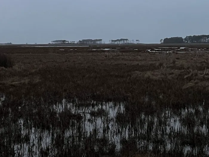 TIngles Island Camp, Assateague National Park Picture 2