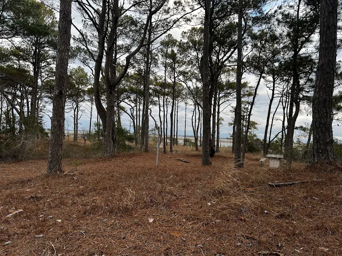 TIngles Island Camp, Assateague National Park Picture 10