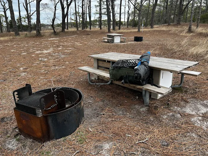 TIngles Island Camp, Assateague National Park Picture 9