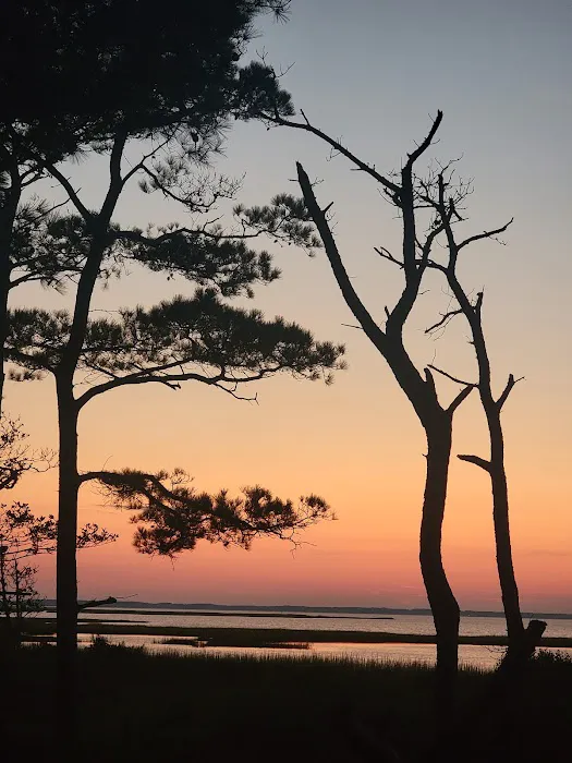 Back Country Camping-Tingles Island Campground Picture 1