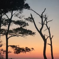 Back Country Camping-Tingles Island Campground ico