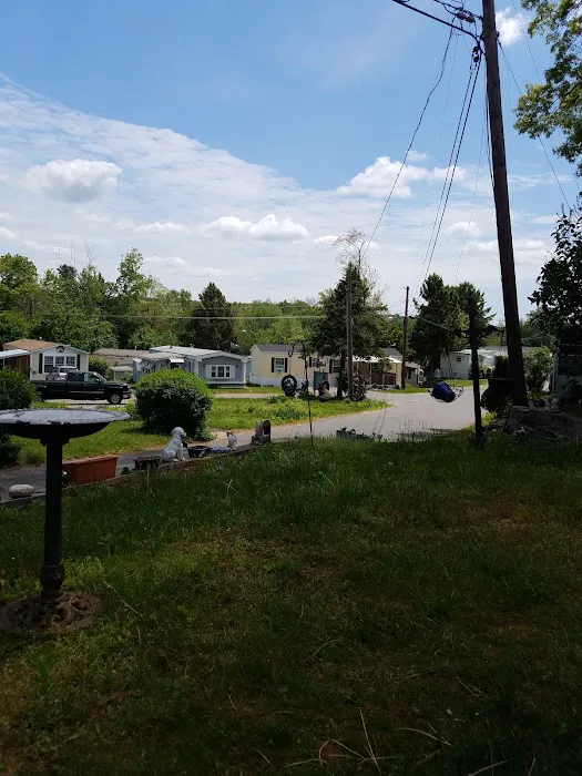 Vernon Village Inc Picture 4