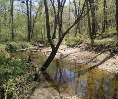 Robert C McDonell Campground