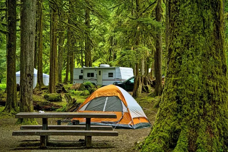 Camping Cabins with Best Views of National Parks and Forests