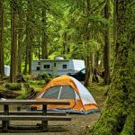 Camping Cabins with Best Views of National Parks and Forests
