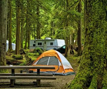 Camping Cabins with Best Views of National Parks and Forests