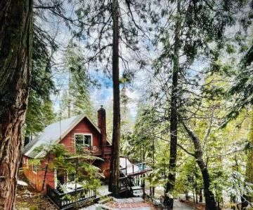 The Best Off-Grid Camping Cabins for an Ultimate Nature Experience