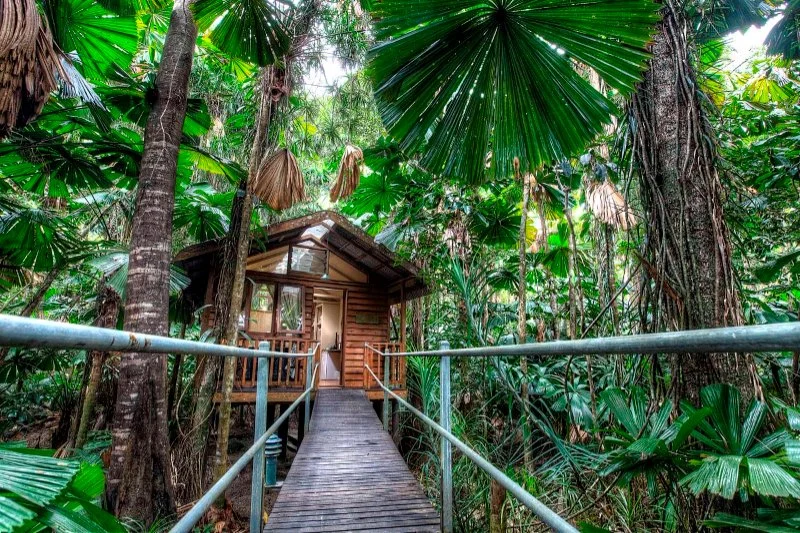 Camping Cabins and Sustainability: How to Be Eco-Friendly in the Wilderness