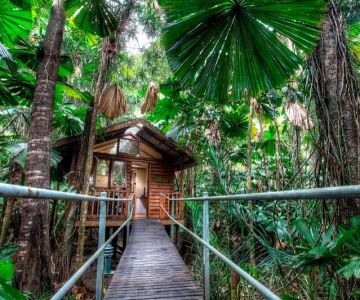 Camping Cabins and Sustainability: How to Be Eco-Friendly in the Wilderness