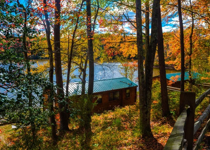 The Top 5 Camping Cabins with Scenic Views Across the US