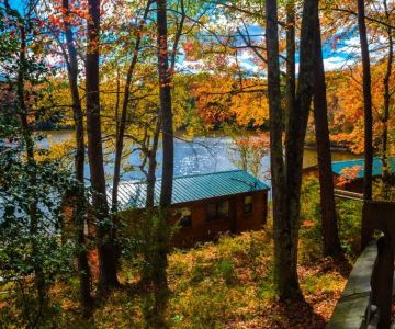 The Top 5 Camping Cabins with Scenic Views Across the US