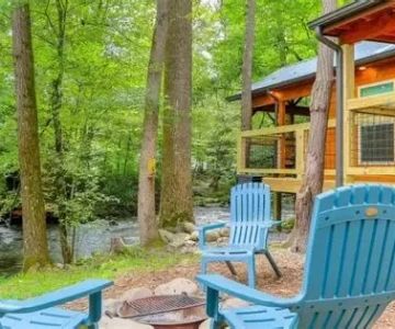 Why Camping Cabins Are the Ultimate Adventure Experience