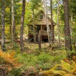Top 5 Camping Cabins in the US with the Best Hiking Access