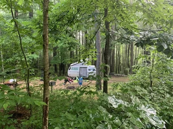 Top Tips for Booking a Last-Minute Camping Cabin Reservation in the U.S.