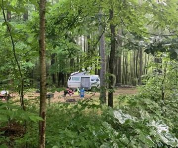 Top Tips for Booking a Last-Minute Camping Cabin Reservation in the U.S.