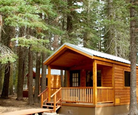 Best Camping Cabins with Stunning Views of National Parks and Forests