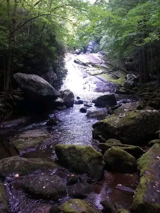 Ben Franklin RV Park Picture 6