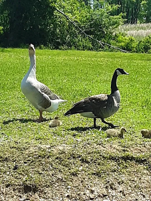 Muddy Run Park Picture 3