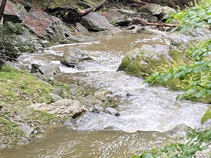 Otter Creek Campground Picture 6
