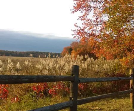 Country Meadows Rents & Sales