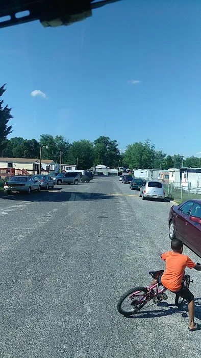 Tips Trailer Park Picture 7
