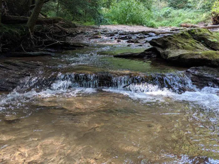 Pequea Creek Campground Picture 2