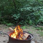 The Loose Caboose Campground