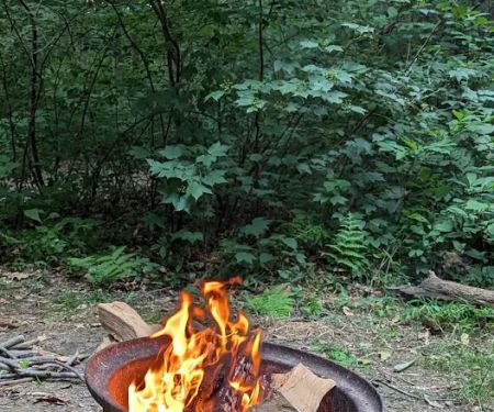 The Loose Caboose Campground