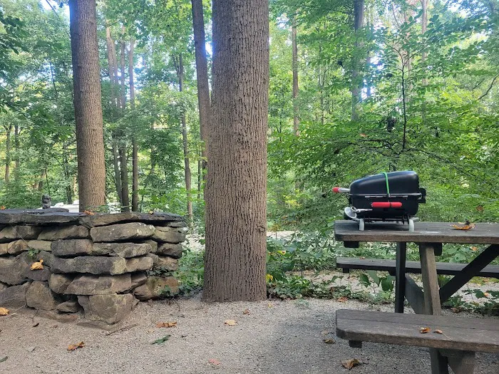 The Loose Caboose Campground Picture 7