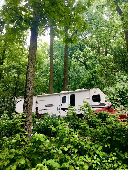 The Loose Caboose Campground Picture 6