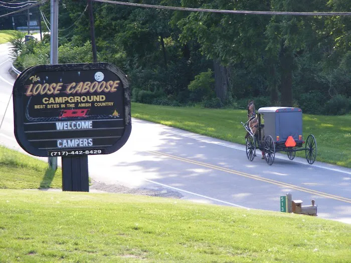 The Loose Caboose Campground Picture 5