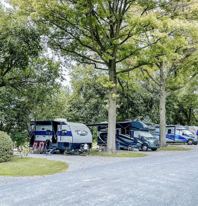 Beacon Hill Camping Picture 7