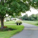 Forest View Village