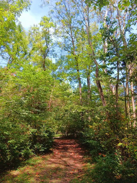 Mill Creek Camping Area Picture 9