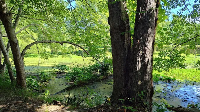 Lake Fairfax Park Campground Picture 3