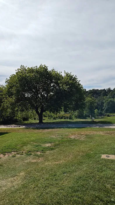Lake Fairfax Small Group Campgrounds Picture 9